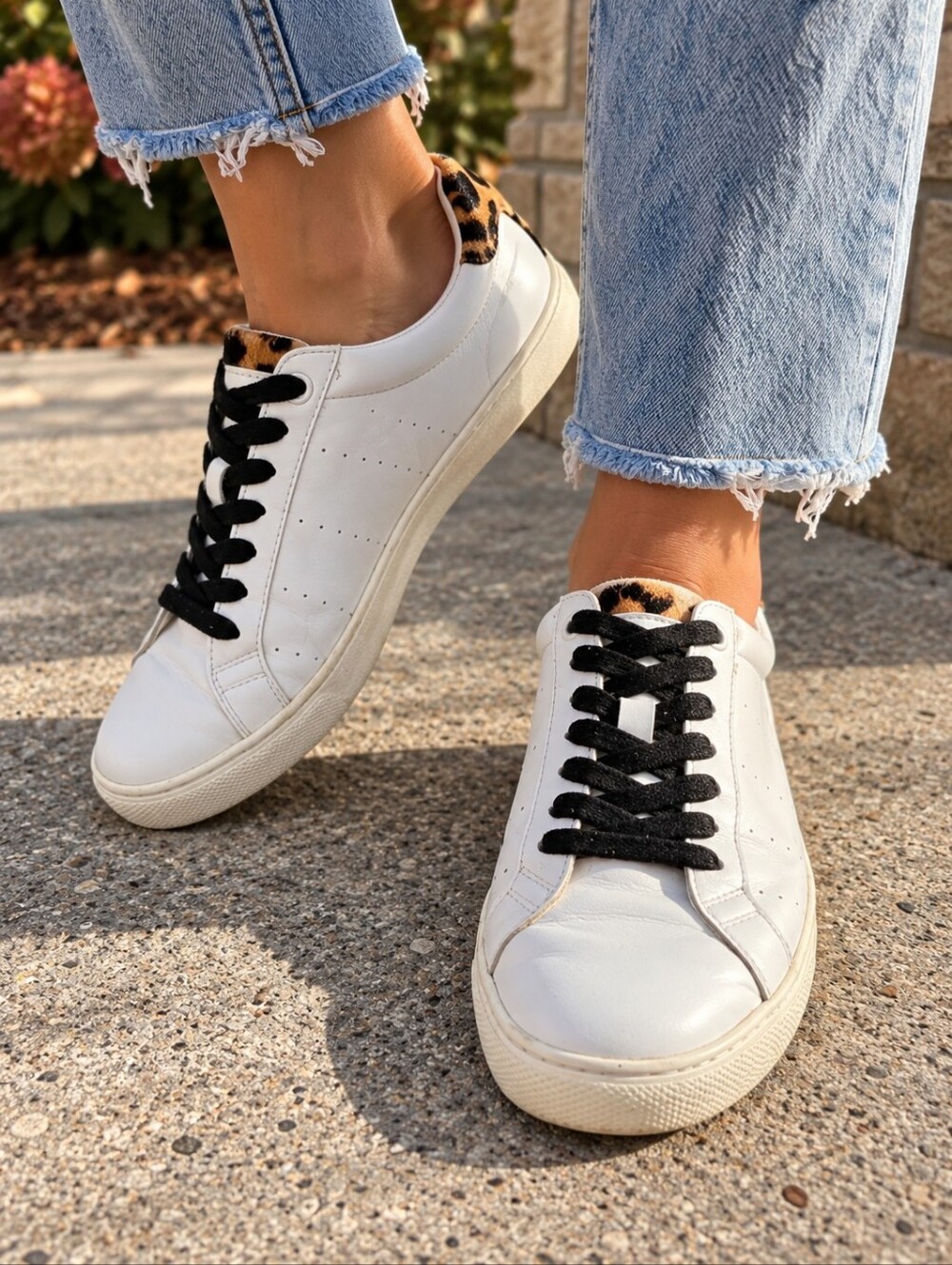 J. Crew Saturday Sneakers With Leopard Callf Hair Size 7